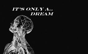 Free Download Anatomy Wallpaper Id 87088 Hd 1680x1050 For Pc