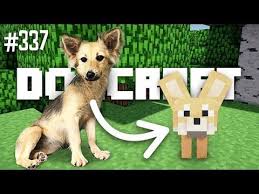Hola Chica Dogcraft Ep 337 Youtube Twitch Tv Twitch Channel Baby Animals