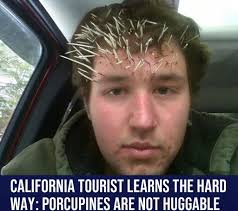 Just when we thought we've seen it all, we have our minds blown. We got  this picture from Allen and Tim McRobby who caught a record Catfish in the  Platte River over