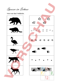 Maybe you would like to learn more about one of these? Arbeitsblatt Tierspuren Im Schnee Diverses Facherubergreifend Gemischte Themen