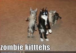 Make your own images with our meme generator or animated gif maker. Caturday Night Zombie Cat Party Cat9catsite