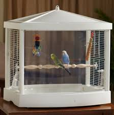 Used Bird Cages For Sale Near Me Pin On Bird Gear