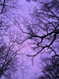 Check spelling or type a new query. Aesthetic Purple Dark Sfondi Viola Sfondo Colorato Sfondi