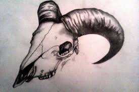 880x880 animal skull drawings paul jackson 16 tattoos. Animal Skull By B4rbiegh0ul On Deviantart