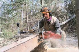 Most of these wood supply centers offer only softwood, framing lumber. Choosing The Right Portable Sawmill Homesteading And Livestock Mother Earth News