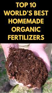Top 10 World S Best Homemade Organic Fertilizers Gardening Sun Gardening Tips Organic Fertilizer Diy Container Gardening
