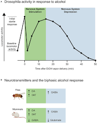 Determined to give him a good lesson, she will show him what unnatural selection is. Frontiers The Neurotransmitters Involved In Drosophila Alcohol Induced Behaviors Behavioral Neuroscience