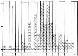 Image result for Nephrangis filiformis