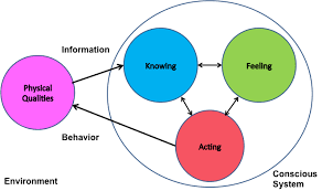 Potential consciousness in the animal kingdom. The Conscious System The Conscious System Is An Open And Dynamic One Download Scientific Diagram