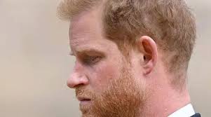 Extract from Prince Harry’s memoir leaked? Fact Check