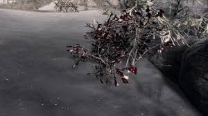 Skyrim And Morality: Missing In Action