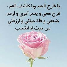 تصاميم اسلاميه صور رمزيات رمزيات دينيه امين دعاء ادعيه اسلاميات تذكير غرد بصوره غرد بتصميمك حسابات دينيه rose flowers plants