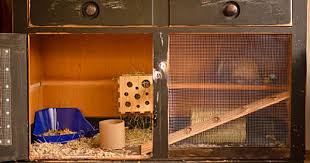 Outdoor rabbit hutch plans can be built on stilts, using galvanized roofing material or even pvc piping. Diy Bunny Cage Old Dresser Found On Onedayatatimenicole Blogspot Com Diy Crafts At Repinned Net