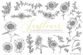 Black And White Sunflower Clipart Border Hand Drawn Sunflower Clipart Set Sunflower Clipart How To Draw Hands Elegant Wedding Stationery