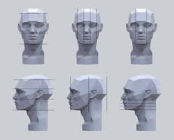 Artstation Planes Of The Head Study Notes Gusztav Velicsek Anatomy Sculpture Planes Of The Face Head Anatomy