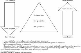 Antimicrobial Medications Lange Smart Charts Pharmacology