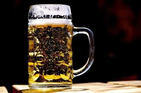 Go Beer Box Calculate Alcohol By Volume Of Your Drink