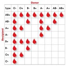 Blood Chart Sada Margarethaydon Com