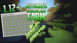 I'm guessing you know this, but that's why the bamboo pops off when you place it after it started. Minecraft Automatic Farm Observer Bukalah N