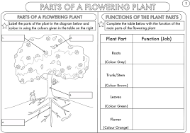 The emphasis is on observation, classification and understanding familiar subjects in a more scientific way. Free Science Worksheets For Grade 2 Pictures 2nd Grade Free Preschool Worksheet Kd Worksheet