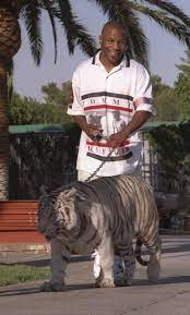 But how did he spend all his millions? Mike Tyson Claims He Had To Sell His Pet Bengal Tiger Kenya After 16 Years As It Ripped Somebody S Arm Off