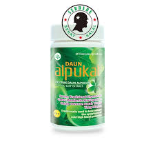 Daun alpukat juga bagus untuk kesehatan kulit, termasuk membiat kulit menjadi. Daun Alpukat 60 Kapsul Meringankan Gejala Tekanan Darah Tinggi Shopee Indonesia