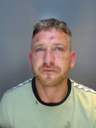 A violent abuser who pulled a woman's hair extensions out and ripped the  flesh inside her mouth has been jailed. Steven Files attacked the woman in  her own home