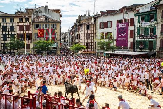 Courses de vaches - F&ecirc;tes de Bayonne