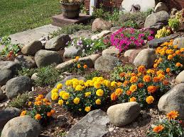 If you are building your tock garden on a slope, then you already have natural drainage. 2009 Rock Garden 1 This Rock Garden Has Been On This Slope Flickr
