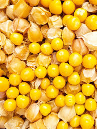 Image result for Physalis pubescens