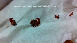 We would like to show you a description here but the site won't allow us. Hotel Bedbugs Check Registry Of Hotels For Bed Bugs