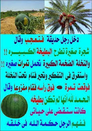 التمر و البطيخ Sayings No Worries