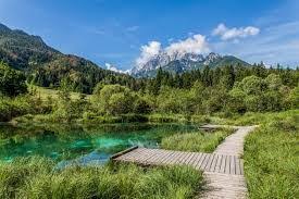 Legalább 41 évente ellenőrzött kemping ebben az országban: Zelenci Nemzeti Park Szlovenia Google Kereses Nature Reserve Places To Go Nature Travel