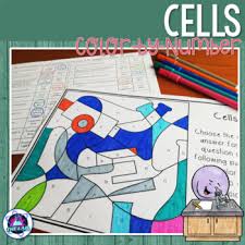 Thanks for watching!i am demonstrating the colorful diagram of types of plant cells step by step which you can draw very easily. Animal And Plant Cells To Color Worksheets Teaching Resources Tpt