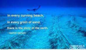 Check spelling or type a new query. Grains Of Sand Quotes Quotesgram