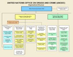 About Unodc