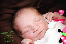 Sandy Savell Photography