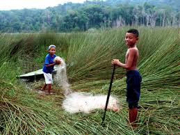 Sudah seyogyanya kita mensyukuri semua anugerah dan keindahan yang diberikan. Center For Orang Asli Concerns