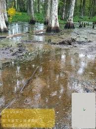 louisiana sinkhole continues to grow