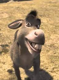 See more ideas about shrek donkey, shrek, donkey. Wayv S Ten Compares Each Of His Members To Shrek Characters Koreaboo