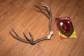 Check spelling or type a new query. Diy Taxidermy Classic Antler Plaque Gohunt