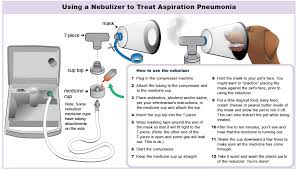 Nebulizer Use For Dogs And Cats Veterinary Partner Vin