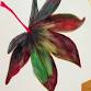 Autumn Watercolour Painting event in Tunbridge Wells