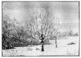 How Do Trees Survive Winter Cold The Outside Story Winter Trees Beautiful Nature Cold Winter