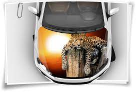 Amazon de klebefolie perfect fix eiche astig holzfolie dekofolie mobelfolie tapeten : Leopard Sonne Holz Schwarz Motorhaube Auto Aufkleber Steinschlag Schutz Folie Airbrush Tuning Medianlux Shop