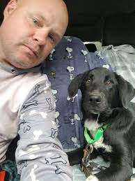 Lab rescue organization saves lives