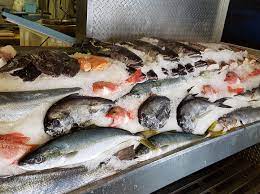 Cost zar160 for two people (approx.) Hooked On Africa Fresh Fish Market Hout Bay Hooked On Africa Fishing Charters Cape Town
