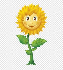 Mewarnai buah buahan for android apk download. Buku Mewarnai Bunga Matahari Yang Umum Sonnenblume Makanan Bunga Matahari Png Pngegg