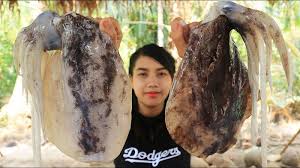 Mực Lá Đại Dương