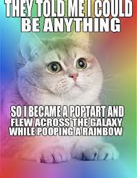 Nyan Cat Meme Google Search Nyan Cat Funny Cat Memes Cat People